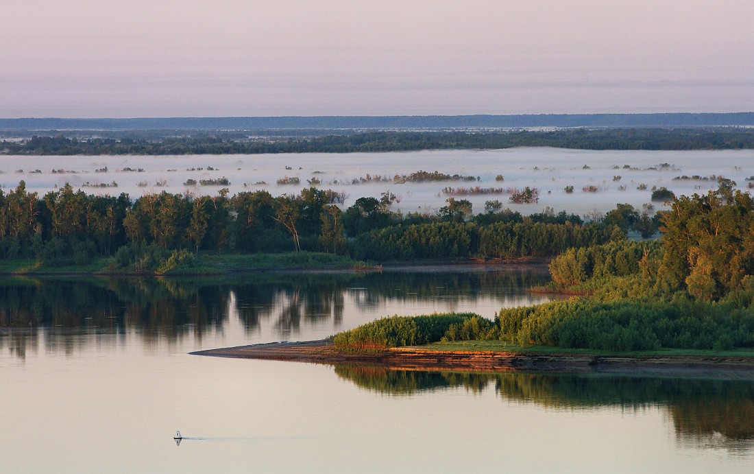 На заре