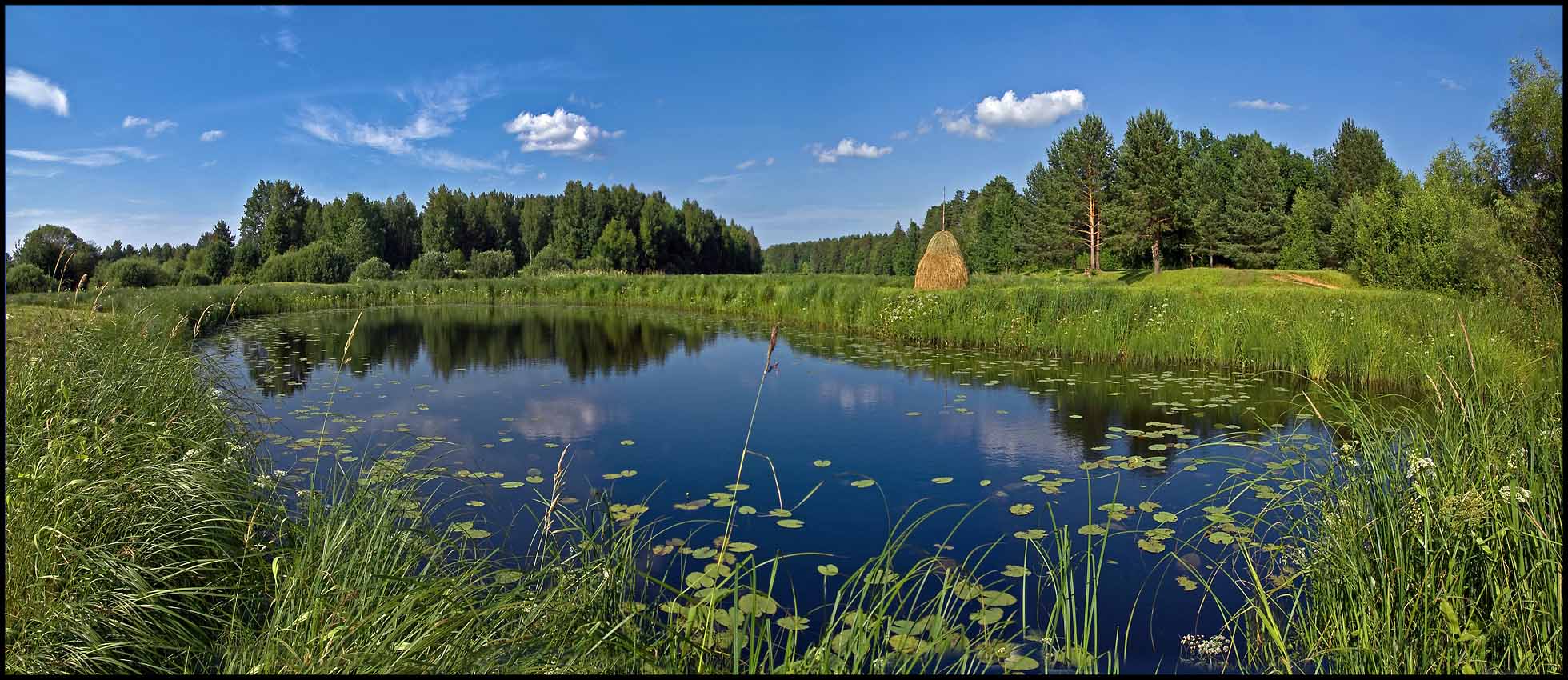 Середина лета. Полдень...