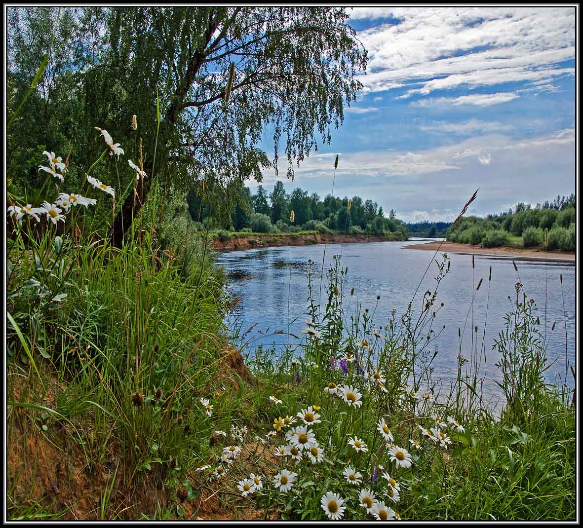 Картинка из детства.