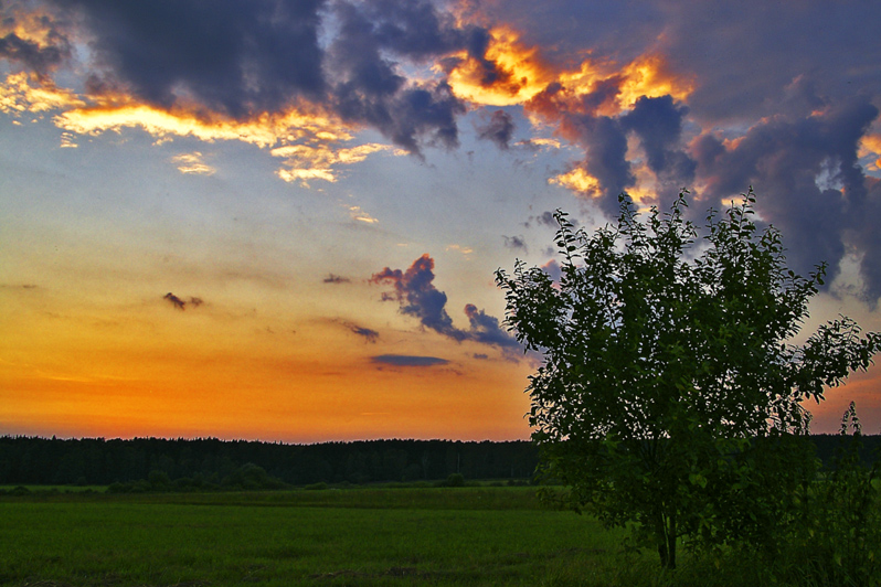 Summer evening