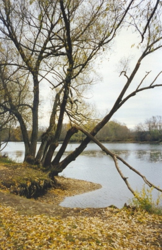 Осень в Архангельском