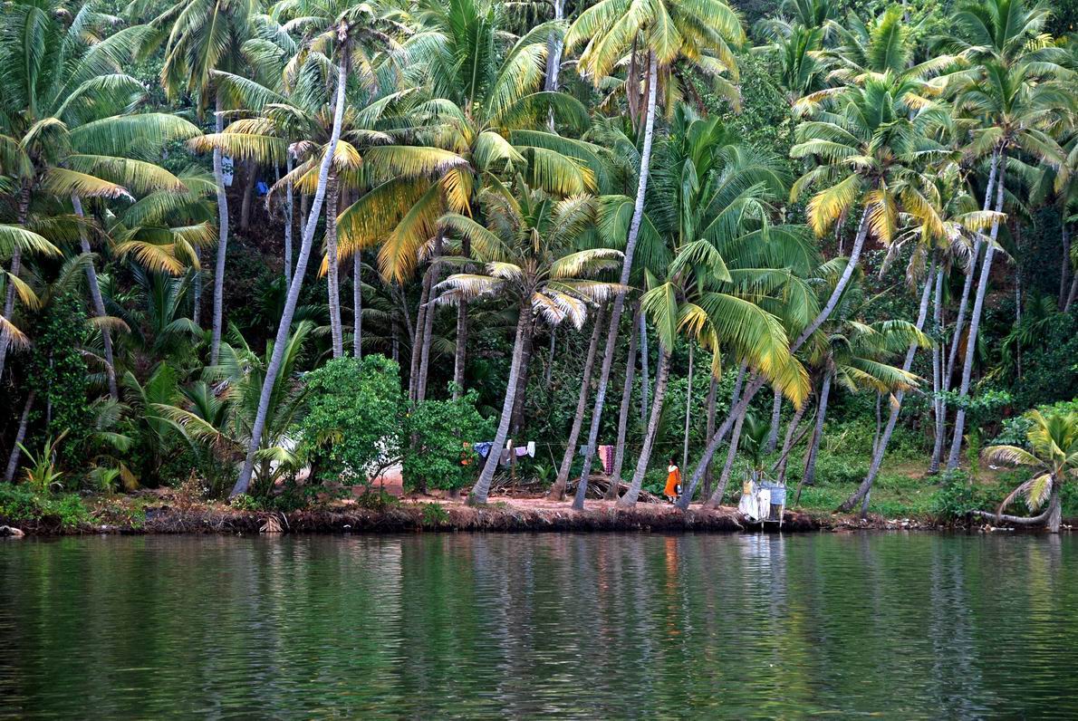 Kerala Backwaters.