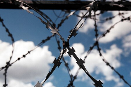 ...всё плывут куда-то...