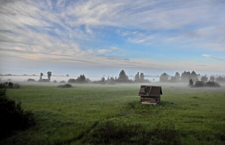 Домик для ежика...