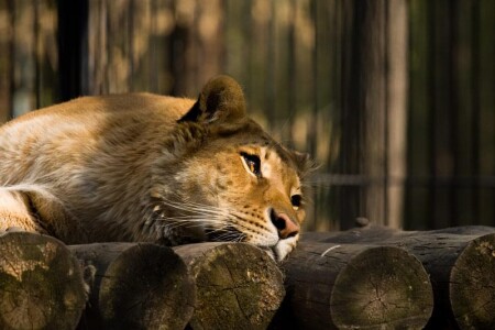 про грусть..