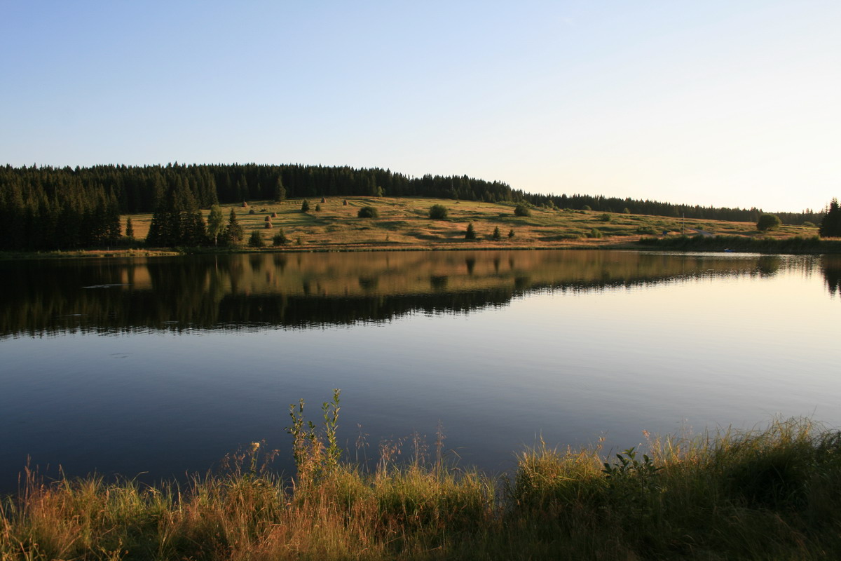 Козинское водохранилище