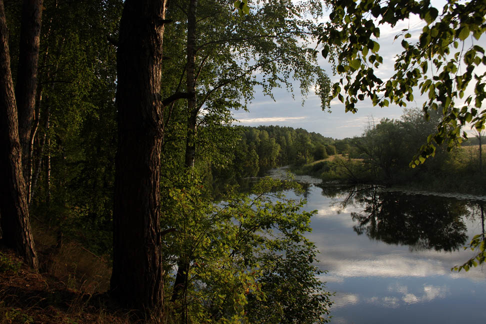 Речка Цна