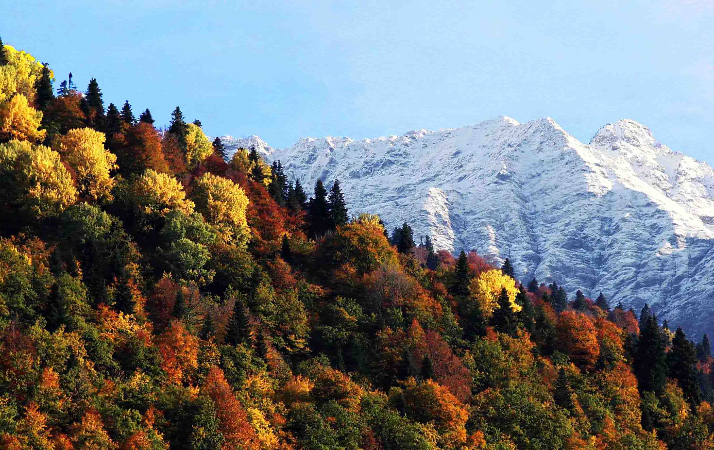 Осень в Красной Поляне