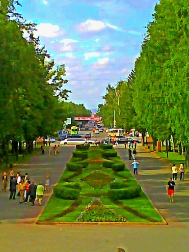 Tomsk Camp garden