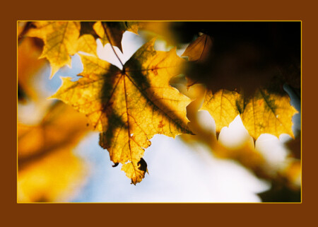 Защита от солнца