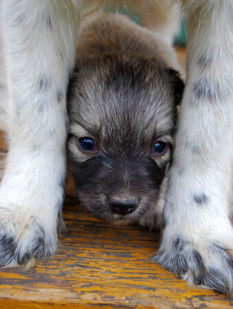 &amp;quot;Под прикрытием&amp;quot;