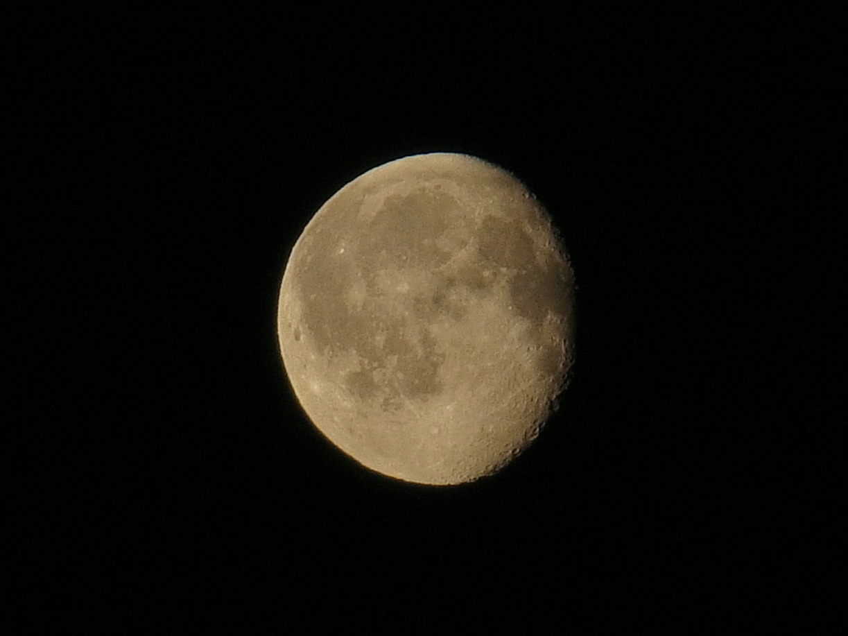 moon44