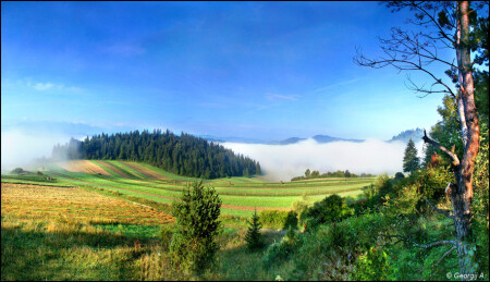 Утро в Карпатах