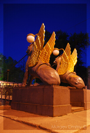 Крылатые Ночи