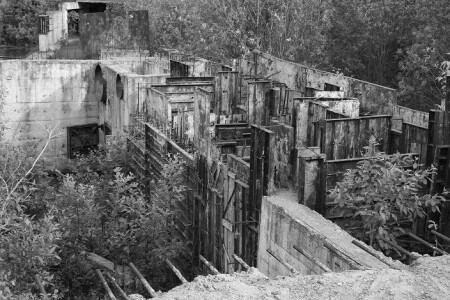 Зеленоград