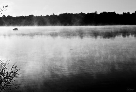 утро старого дня