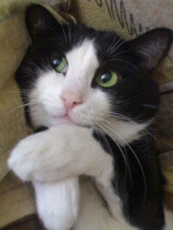 Любимая поза)