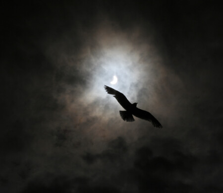 Время &amp;quot;Х&amp;quot;. Солнечное затмение.