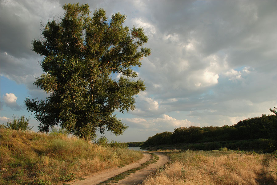 Дорога к реке