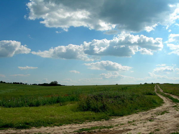 По дороге с облаками