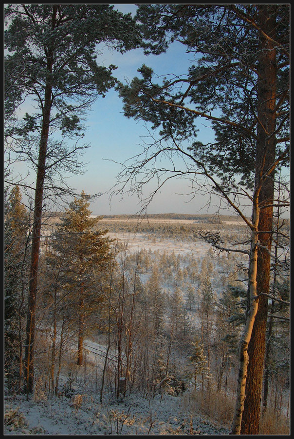 Мороз и солнце, день прекрасный...