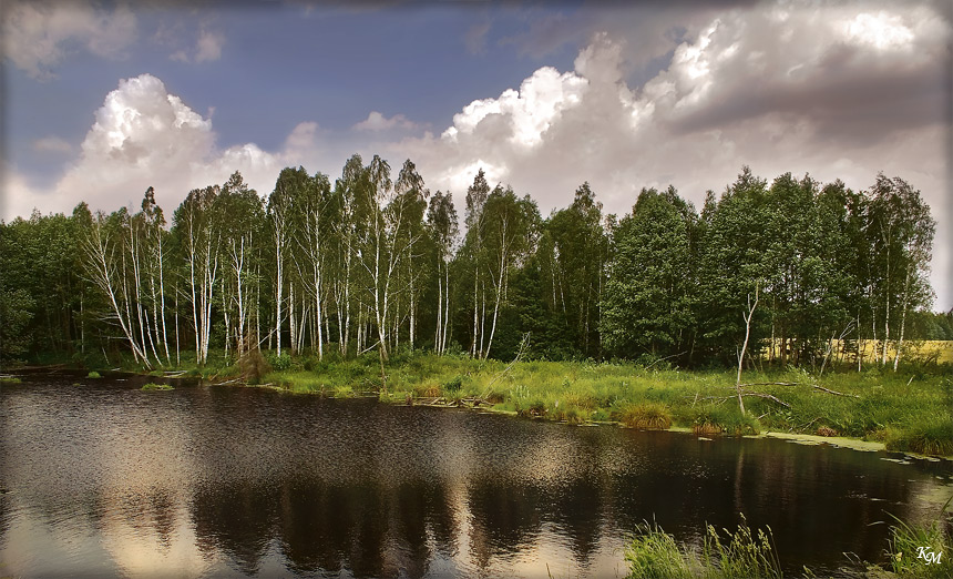 Белорусский мотив