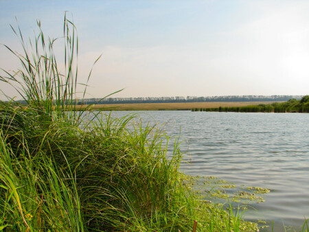 Родина моя...