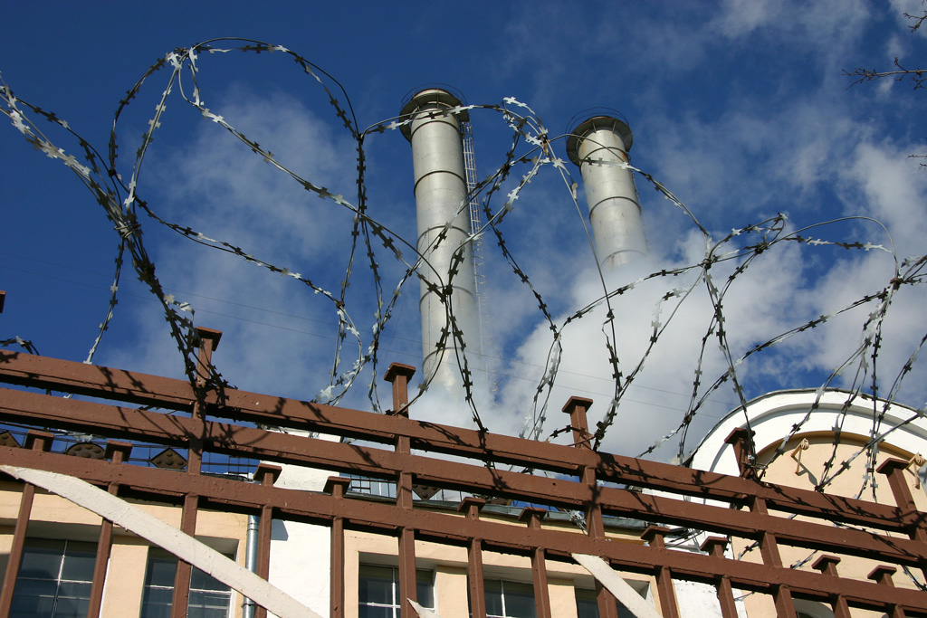 barbed wire