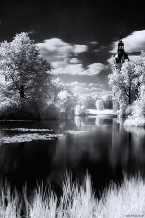IR im Furst-Puckler-Park #2