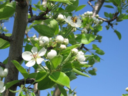 Все хотят сладкого