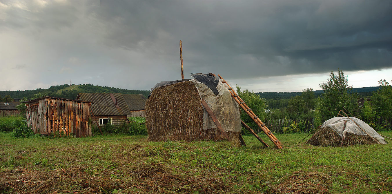 Сенокосная сырость