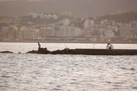 Теплое утро