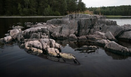 Каменный краб