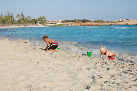 Каждый себе построит дом