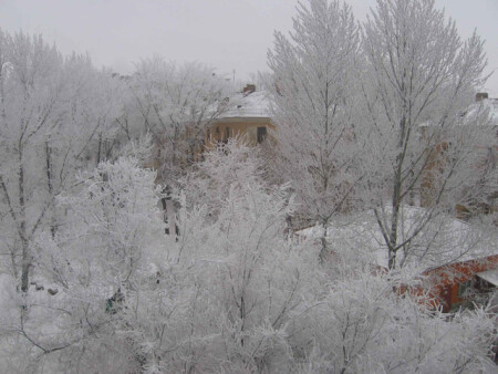 Зимняя сказка