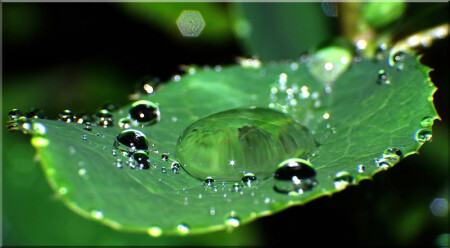 После дождя