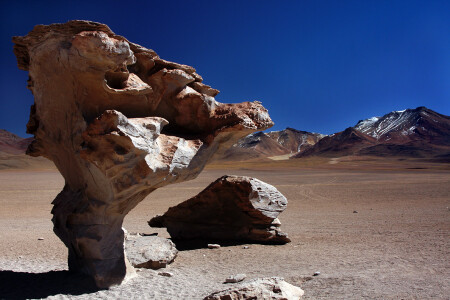Arbol de piedra