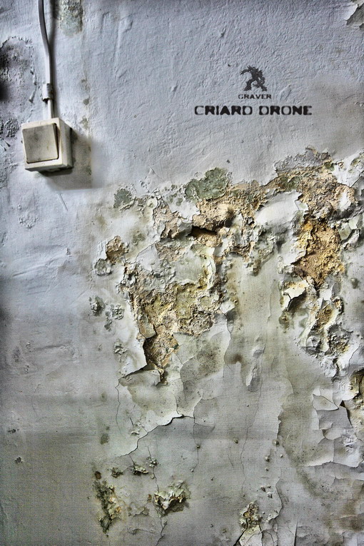 criard drone