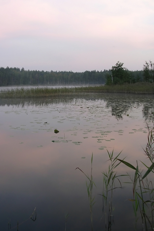 На утренней зорьке