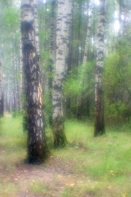 Август.