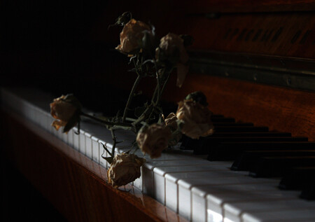 Застывшая мелодия