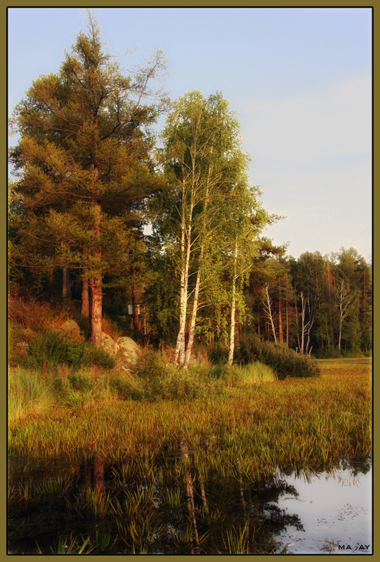 на озере Кошкуль