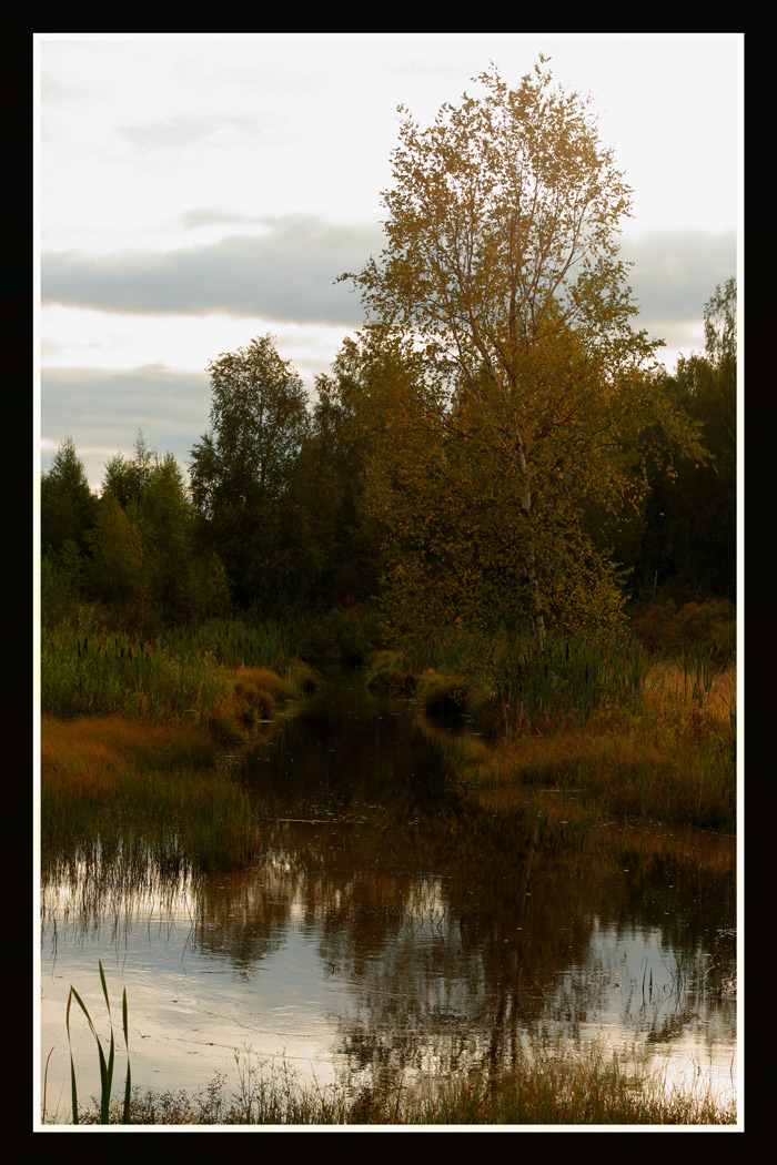 Осеннее настроение