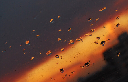 После дождя