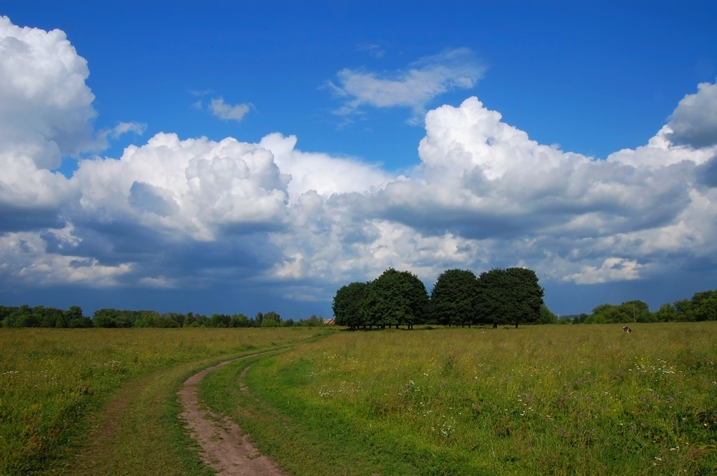 В лугах.