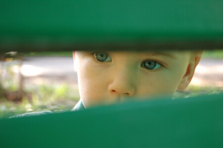 за скамейкой