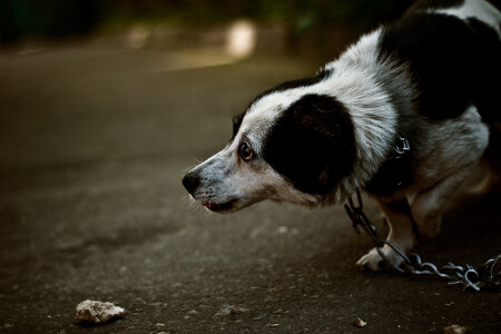 Можно? Не ударите?