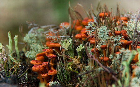 Жизнь кипит