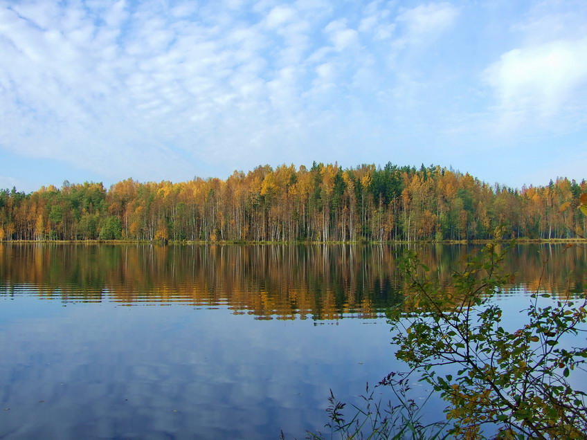 осень 