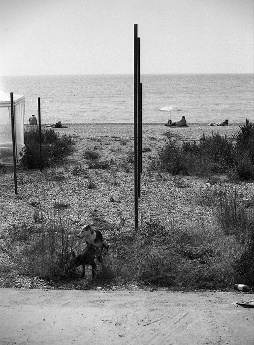 nude beach Koktebel 08